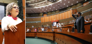 CONGRESO LEYES DE INGRESOS