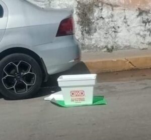 ROJA CABEZA HUMANA EN HIELERA