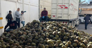 ROJA COCOS CON FENTANILO 2