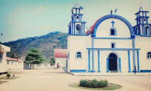 ROJA SAN PEDRO CUITLAPAN