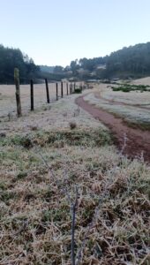 estado frio en la sierra 3