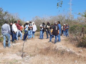 estado mezcala reforestacion