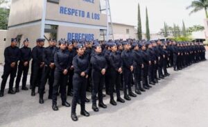 estado solicitudes pollicias