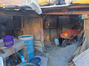 roja adulta mayor es desalojada (4)