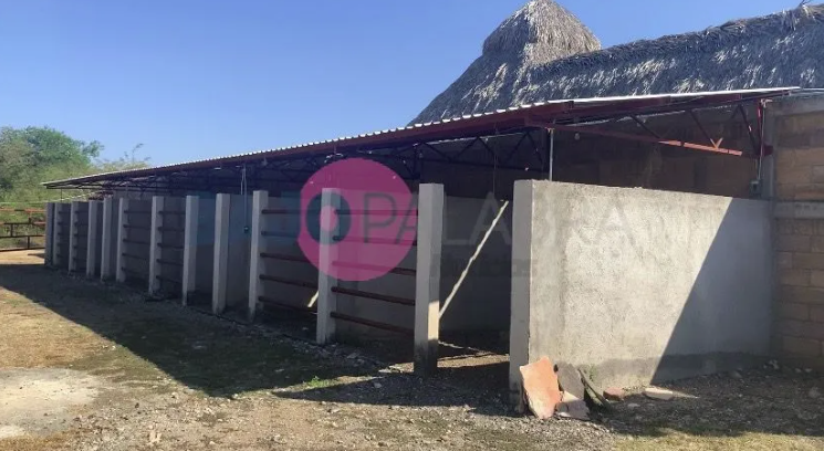 roja cateos 3
