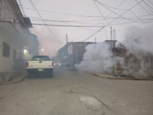 MARQUELIA FUMIGACION (2)