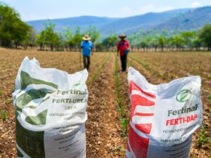 NACIONAL FERTILIZANTE