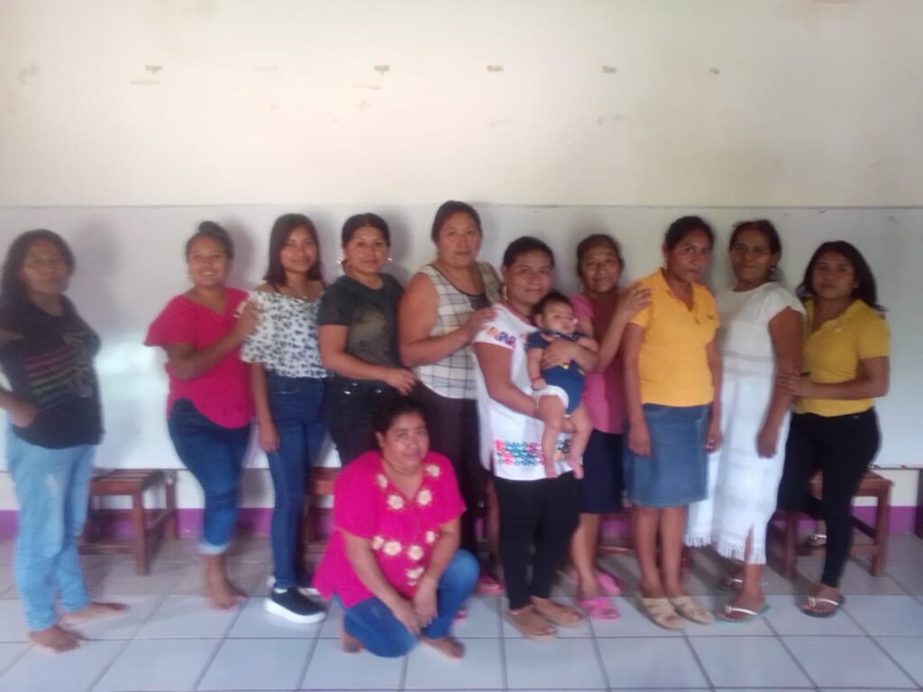 PRINCIPAL PARTERAS (2)