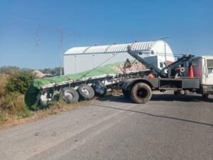 ROJA EL TRAILER CON CEMENTO (2)