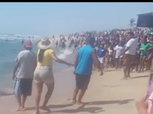 ROJA MUERTOS EN VACACIONES