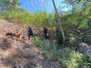 SAN LUIS OPERATIVO DE BUSQUEDA DE VECINO DE BUENA VISTA (9)