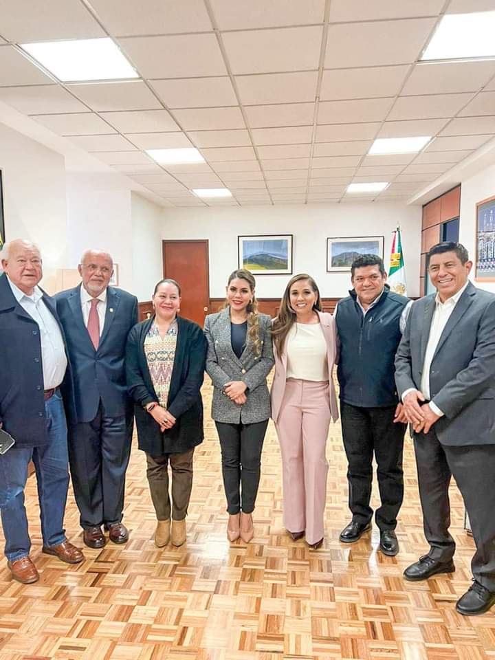 boletin evelyn proyectos (2)