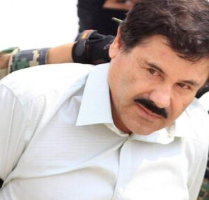 nacional chapo guzman