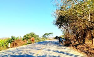 MARQUELIA CABALLOS SUELTOS SOBRE LA CARRETERA