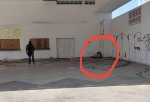 ROJA MATAN A MUJER A GOLPES