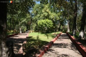 ROJA PARQUE LA ALAMEDA