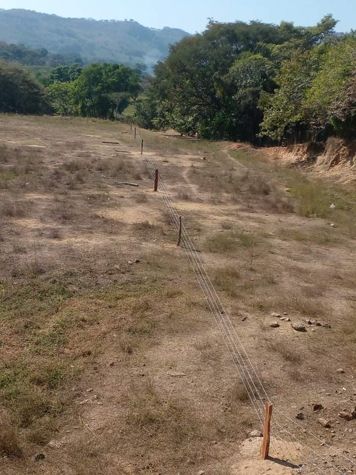 SAN LUIS PARTE DEL CERCADO (4)