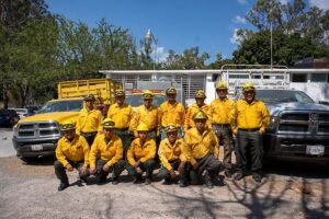 estado incendios