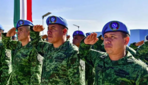 estado militares especializados