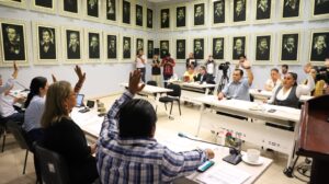 principal diputados (2)