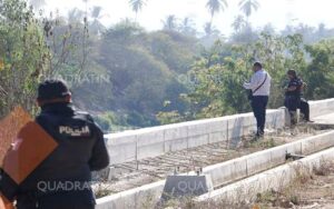 roja encostalado en la sabana