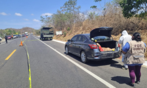 ROJA ENCAJUELADO ixtapa