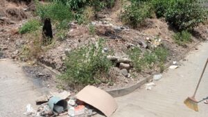 BOLETÍN OME Limpieza de calles (2)