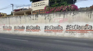 ESTADO PINTAS NO AUTORIZADAS