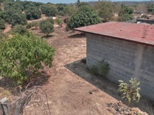 Juchitán Inmueble del que será desalojado (2)