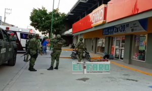 ROJA LA VICTIMA