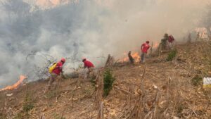 SAN LUIS ELEMENTOS DE PC COMBATIENDO INCENDIOS (4)