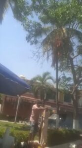 SAN MARCOS SE INCENDIÓ UNA PALMA (1)
