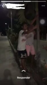 TLACO Los jóvenes dañando las palmeras (2)