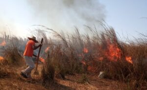 boletin cuaji incendio 2