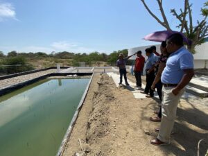 boletin juchitan planta (5)