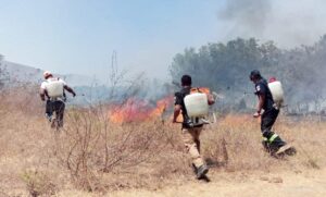 estado incendios daños