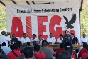 estado transportistas (3)