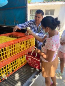 BOLETÍN OME ENTREGA DE POLLITAS PONEDORAS (4)