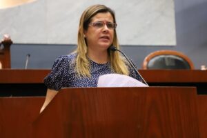 CONGRESO JULIETA FERNÁNDEZ