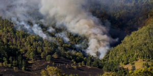 ESTADO INCENDIOS