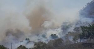 SAN LUIS INCENDIO