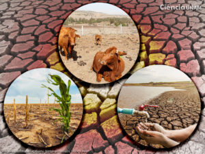 SOCIALES CAMBIO CLIMATICO