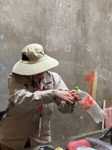 estado dengue (1)