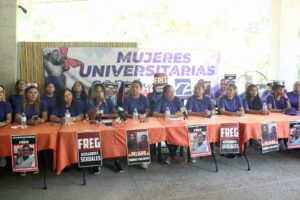 estado feministas