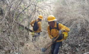 estado incendios