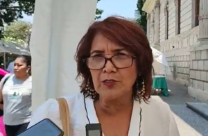 estado maria luisa garfias