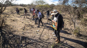 sociales buscadores (2)
