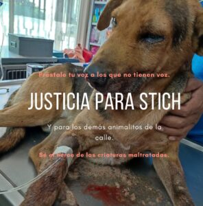 sociales caso perrito