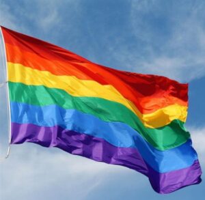 ESTADO BANDERA LGBT