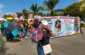 ESTADO MARCHA DERECHOS ANIMALES